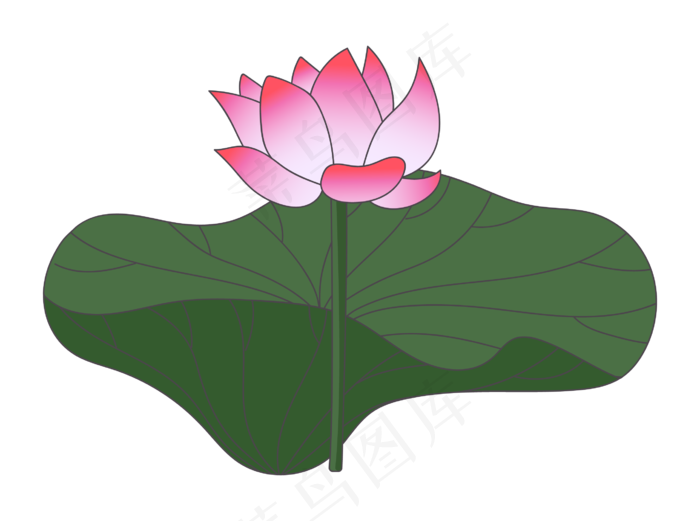 荷花植物卡通插画26862000px300dpiai矢量模版下载