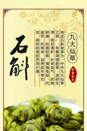 铁皮石斛图片cdr矢量模版下载