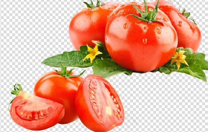 西红柿 大西红柿图片