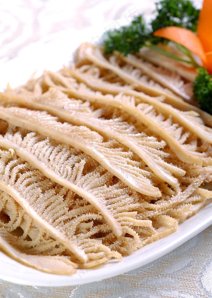 草原千层肚图片