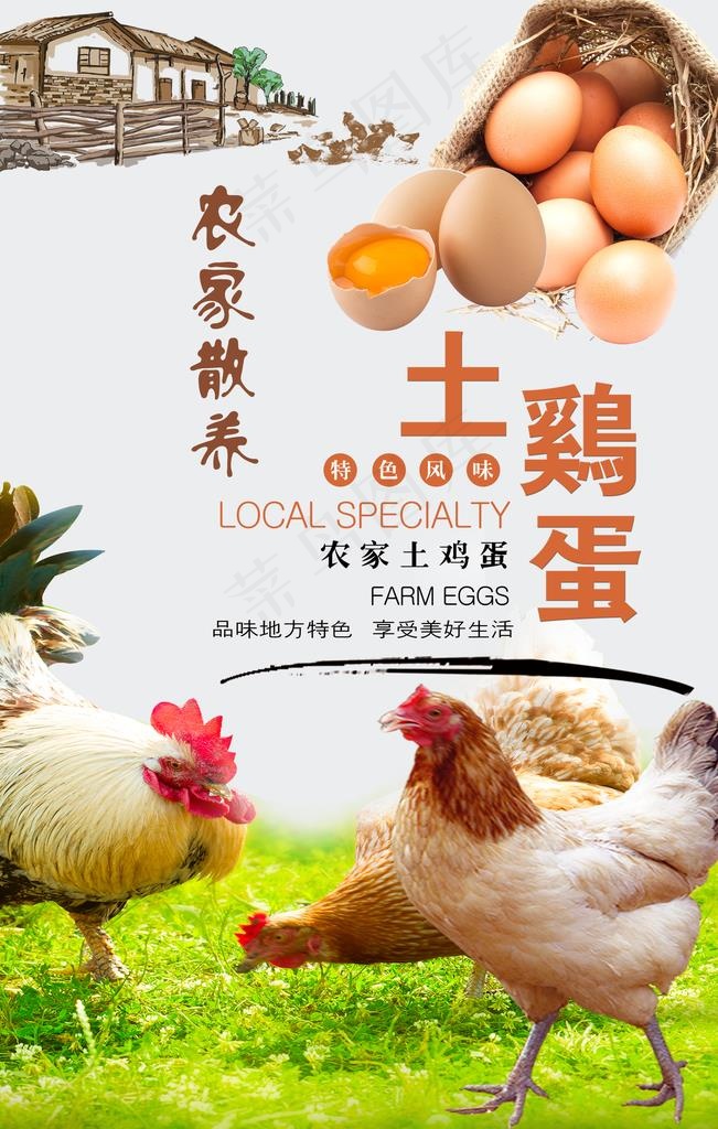 平面广告 海报模版 农家土鸡蛋海报图片(3150x4724(dpi:200))psd模版