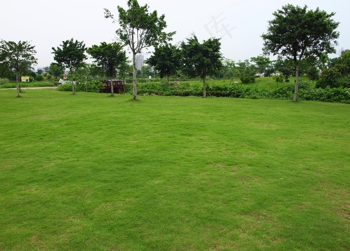 公园一角大片草坪草地树木图片