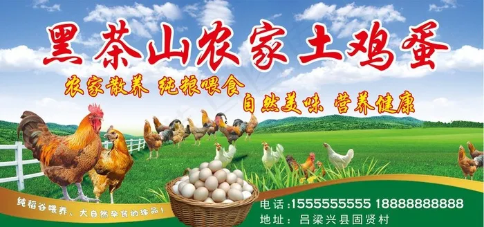 鸡蛋广告图片