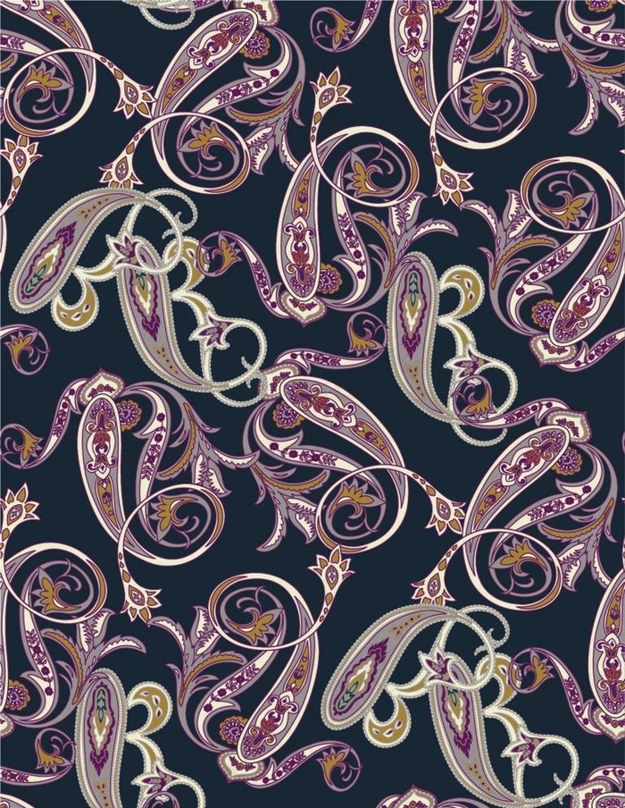 佩斯利涡纹旋花纹图片ai矢量模版下载