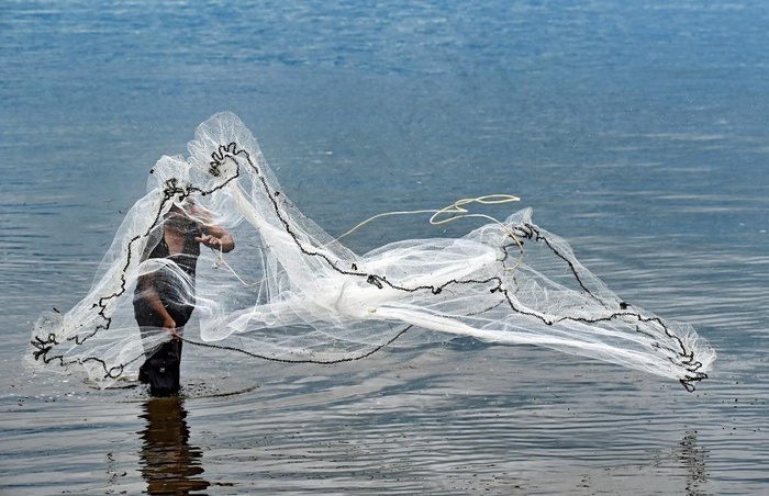本素材作品名称为撒网捕鱼图片,素材编号是1707314, 						是一张格式