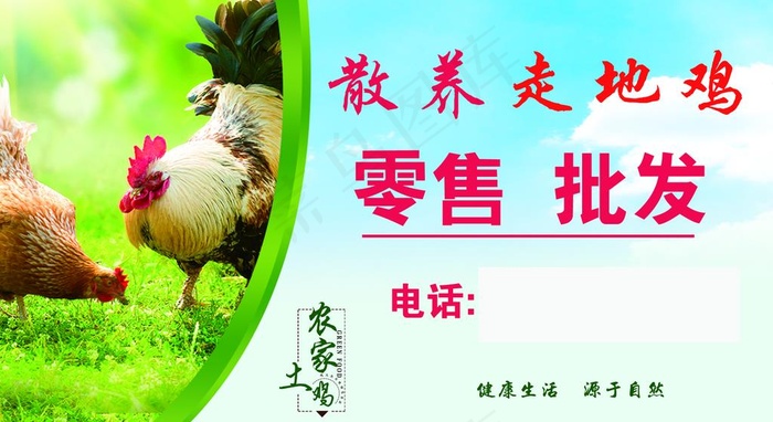 散养走地鸡名片图片2126x1228dpi600psd模版下载