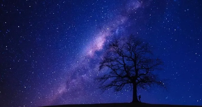 星空下的大树图片