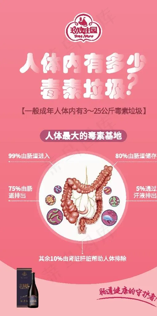 肠道排毒海报图片