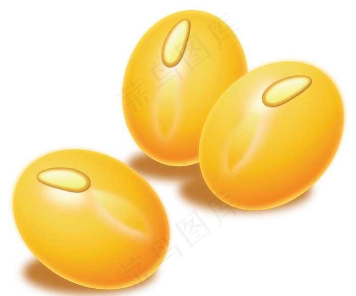 黄豆大豆矢量图图片ai矢量模版下载