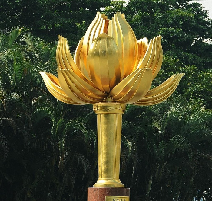 金莲花盛世莲花澳门莲花莲图片