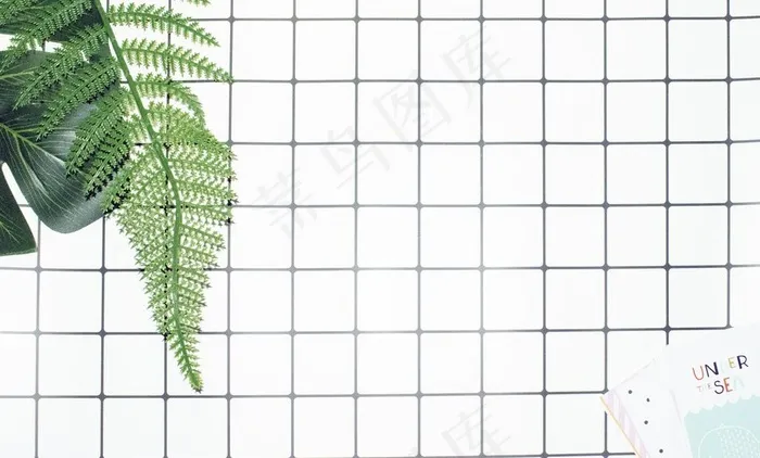 格子植物背景图片