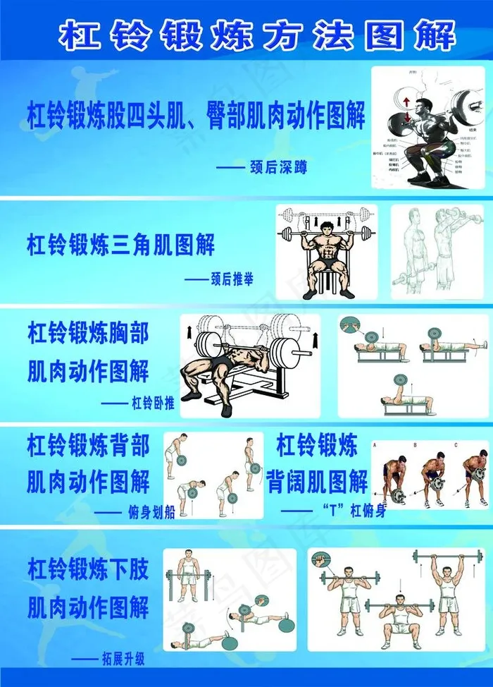 杠铃锻炼方法图解图片