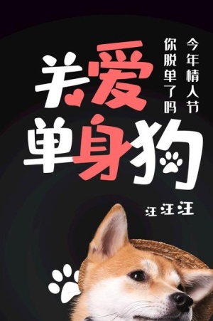 关爱单身狗图片免费格式: psd单身狗免费格式: ai七夕情人节可爱兔子