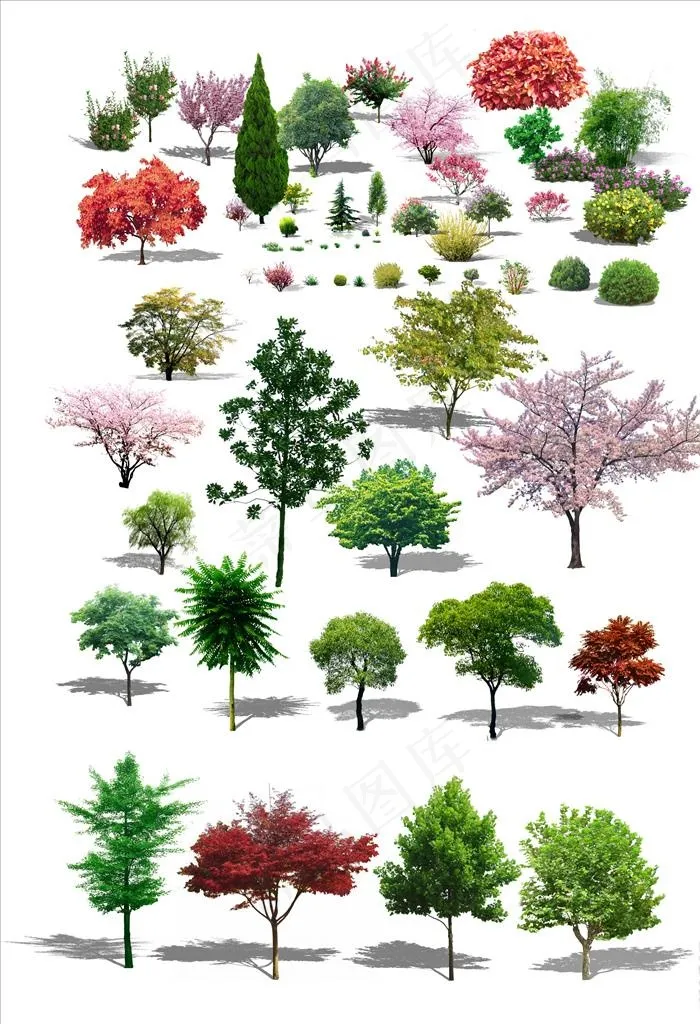 创意树高清树木树素材小树图片