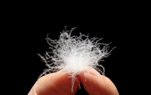 羽绒服图片1920x900psd模版下载