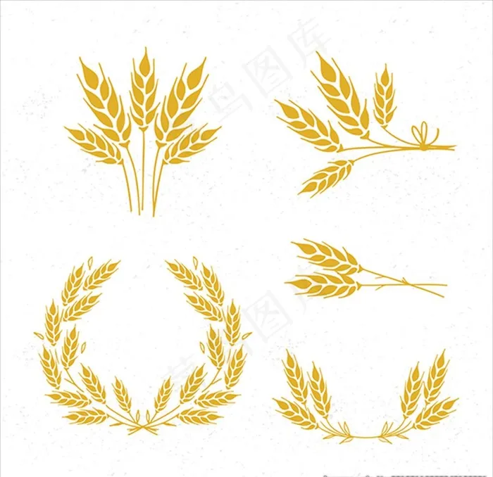 手绘小麦插图元素图片