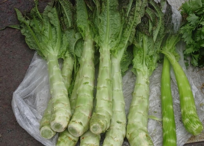 莴笋图片