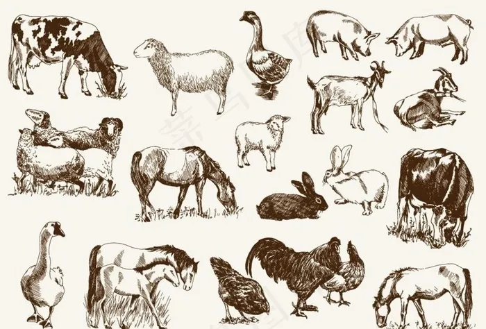 矢量钢笔画手绘动物图片