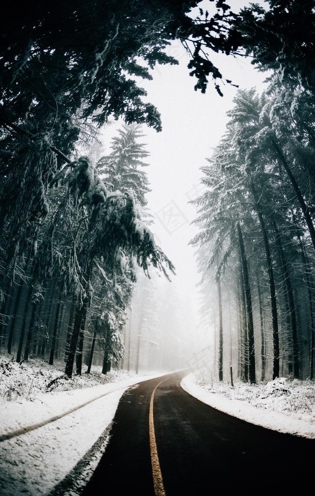 雪天森林公路图片