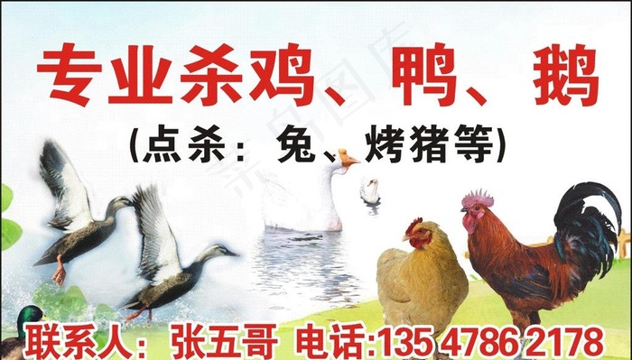 平面广告 名片 杀鸡名片图片cdr矢量模版下载