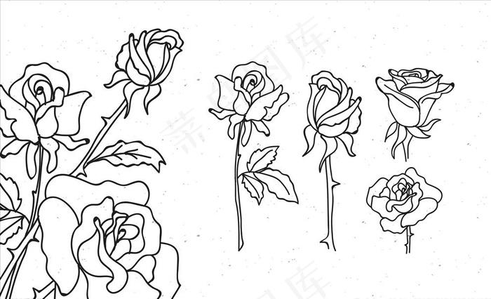 玫瑰花丛简笔画儿童图片