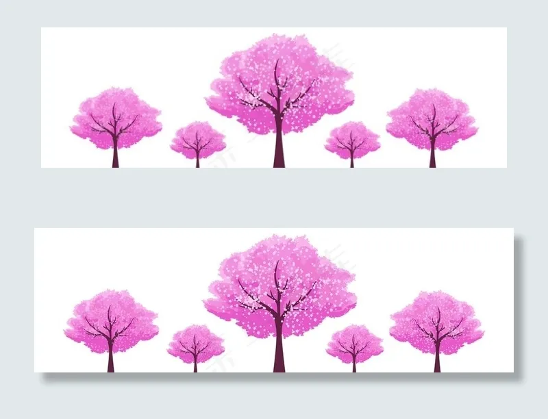 日本 樱花树图片