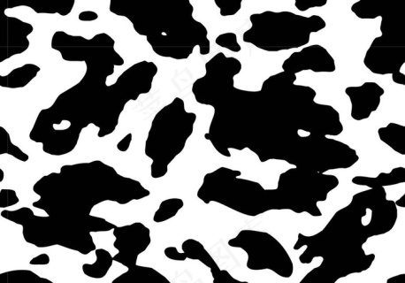 黑白豹纹背景底纹图片