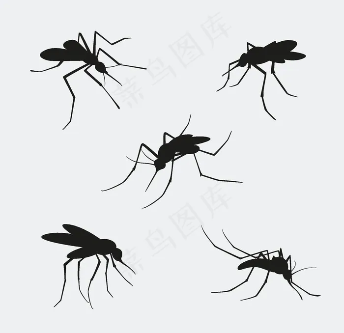 蚊子剪影图片