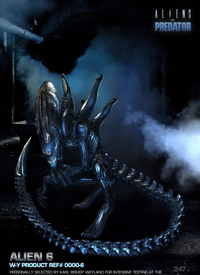 电影异形大战铁血战士图片