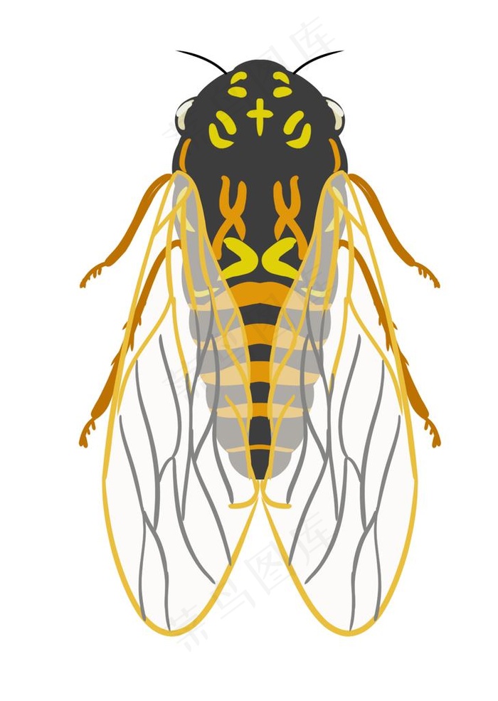 手绘卡通知了蝉昆虫动物插画图片psd模版下载