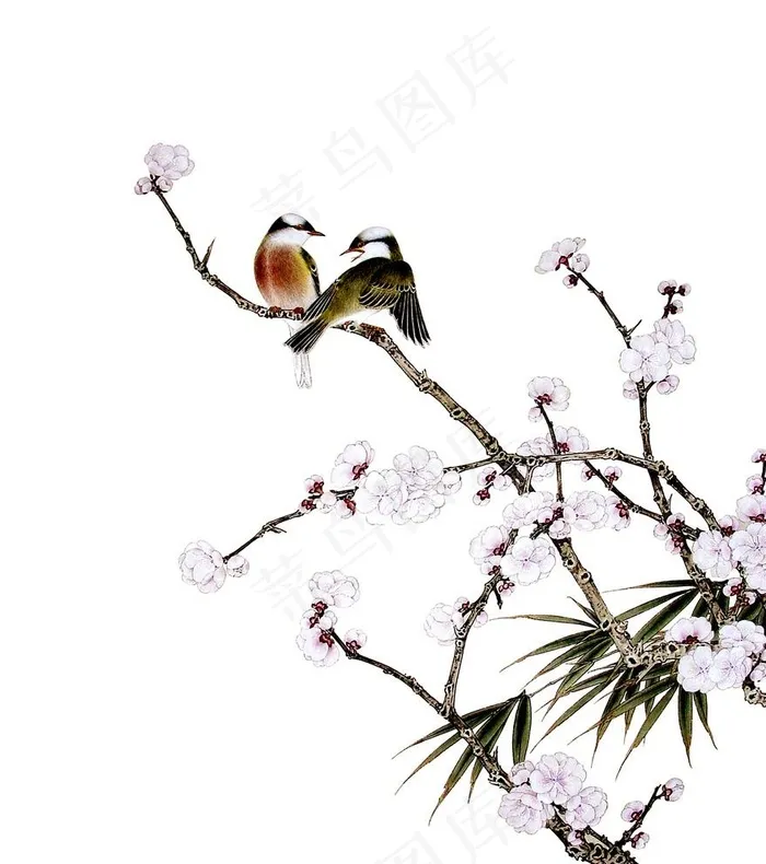 中国画花鸟图片