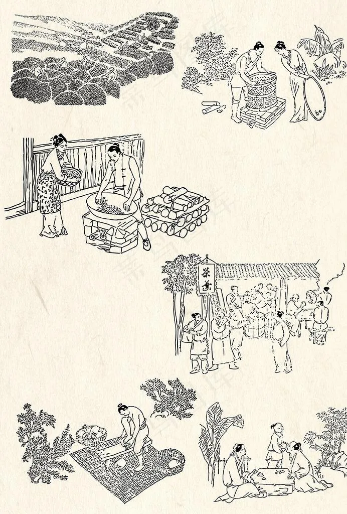 古代制茶工艺线描矢量素材图片