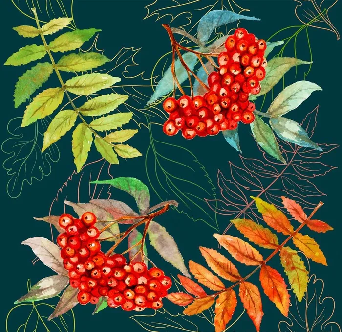 树叶水果背景图片