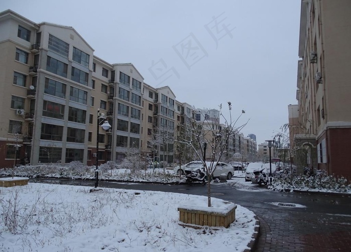 小区雪景图片