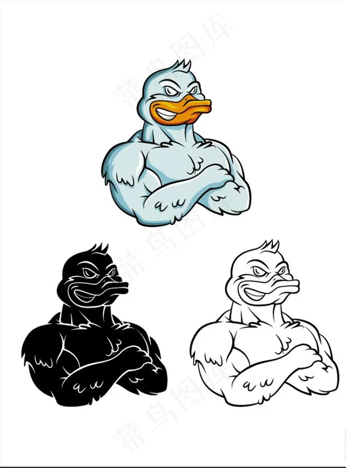 三款卡通强壮的鸭子插画矢量素材图片