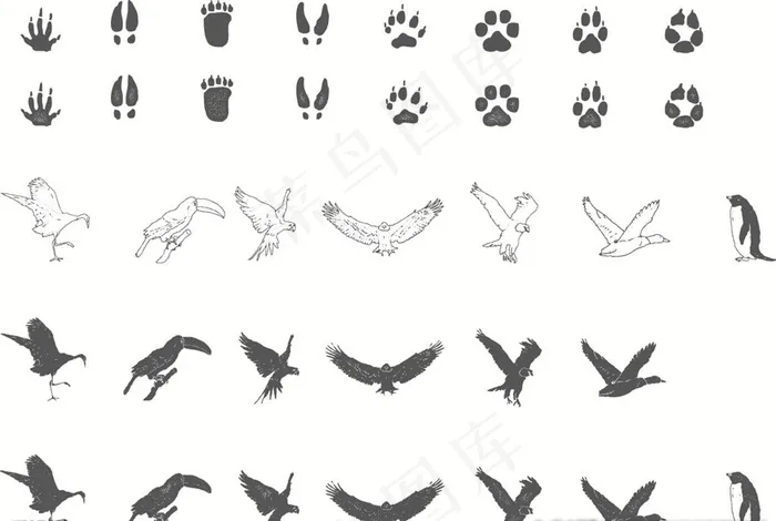 动物脚印剪影飞翔动物图片
