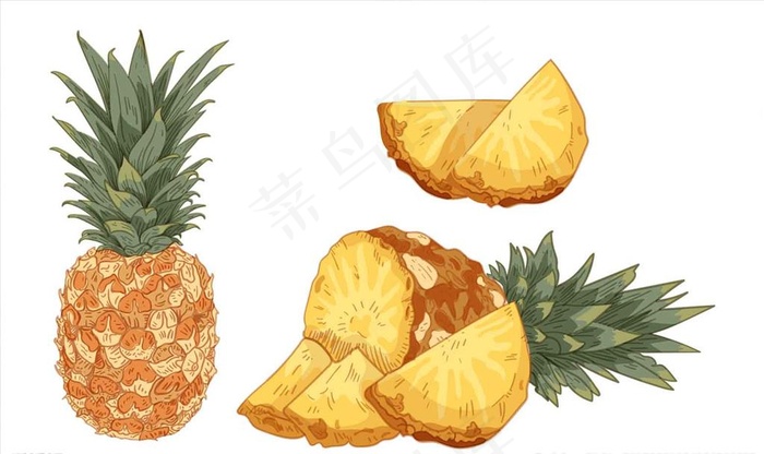 矢量彩色手绘水果菠萝凤梨插画图片ai矢量模版下载