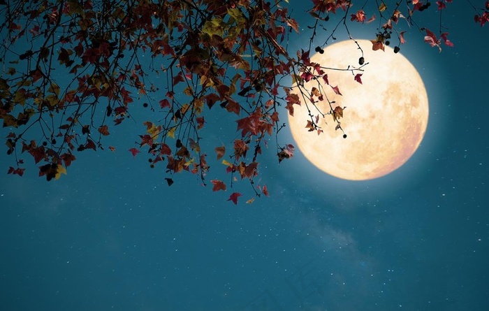 月夜美景图片