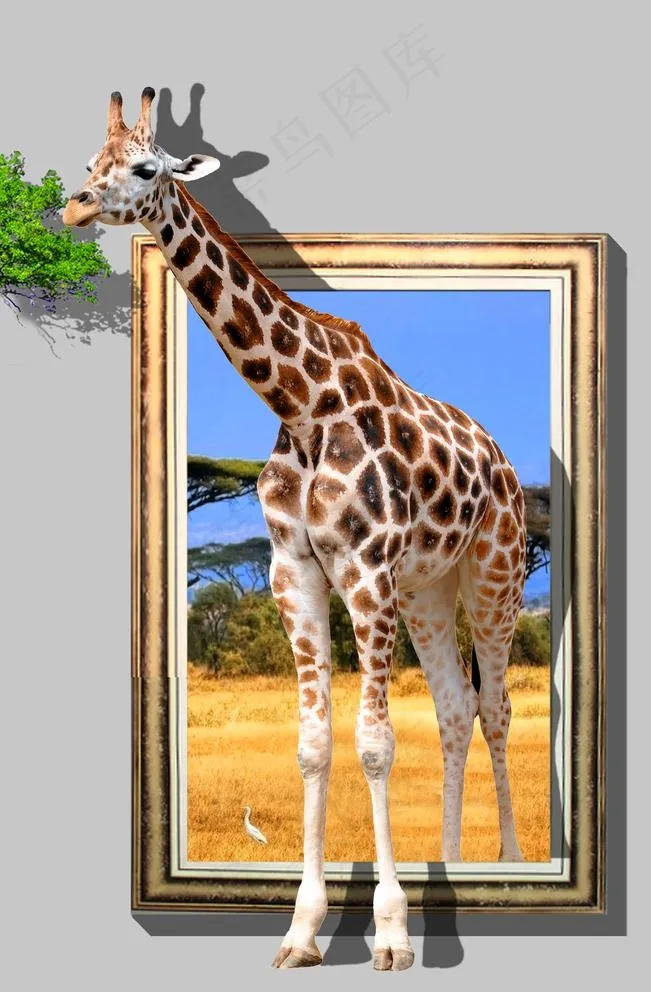 立体墙画 长颈鹿图片