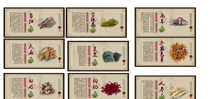 中国风传统中药材展板图片