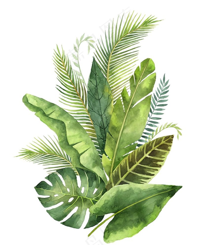手绘清新绿色蕨类植物芭蕉图片5000x6250dpi300psd模版下载