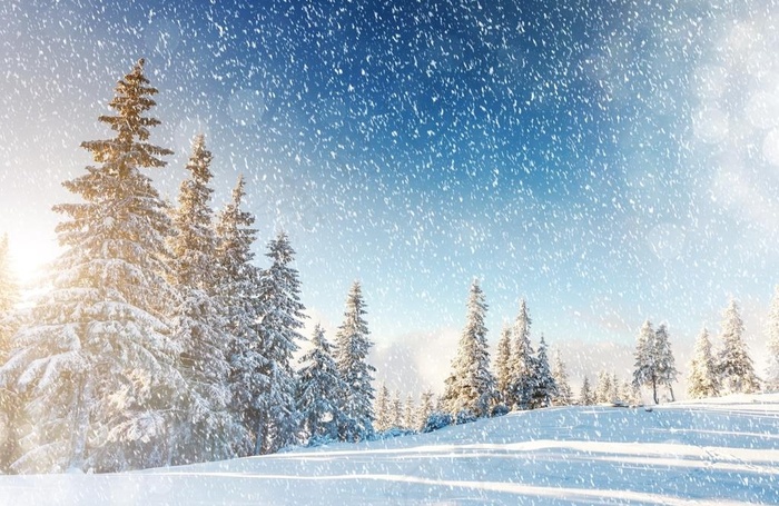 下雪场景图片 景色图片