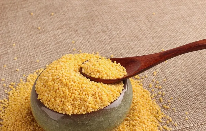 黄小米 小黄米 杂粮素材图片
