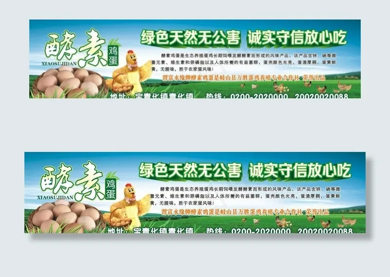 绿色无公害酵素鸡蛋广告标签设计图片