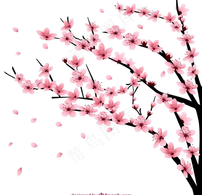 粉色桃花树桃花枝图片