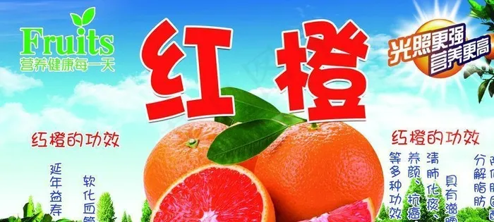 红橙 血橙 宣传画图片