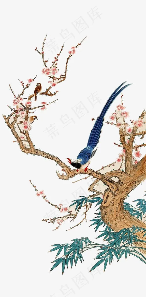 鸟在枝头中国画