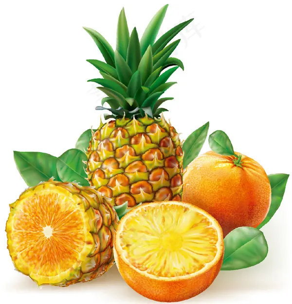 橙色水果菠萝