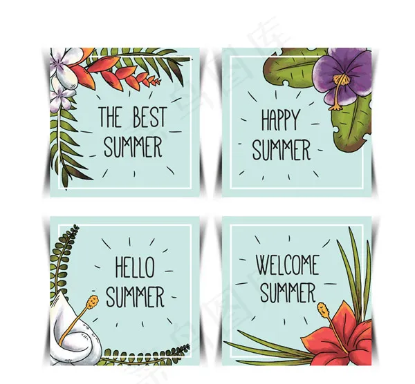 夏季花卉卡片