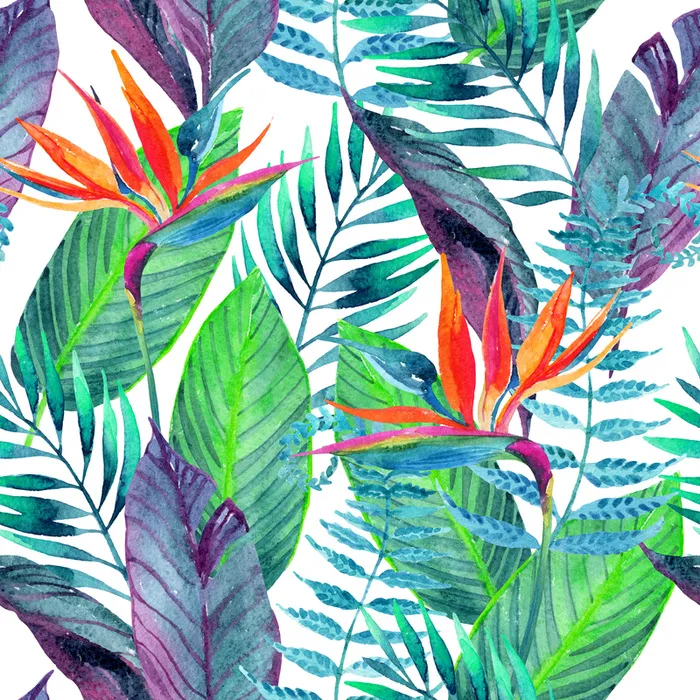 热带雨林植物纹理高清